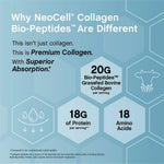 COLÁGENO NEOCELL BIOPEPTIDES